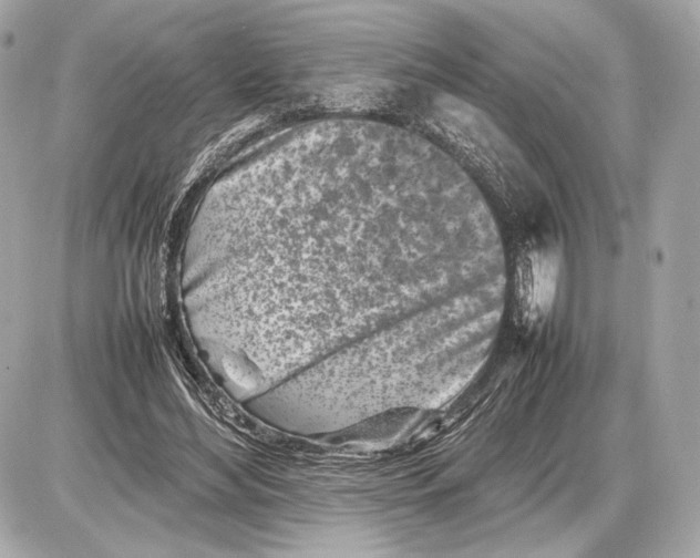 X0000085830492200704091701