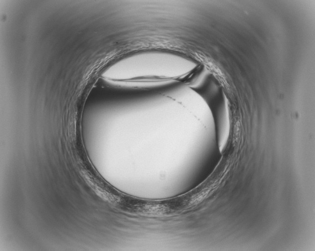 X0000085830493200704091701