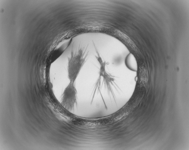 X0000085830494200704091701