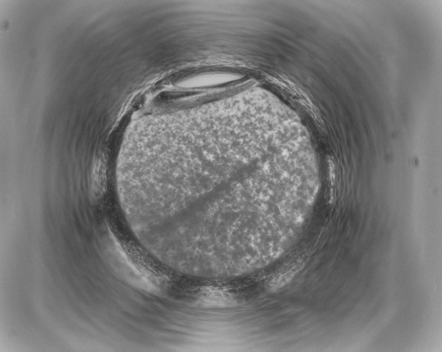 X0000085830496200704091701