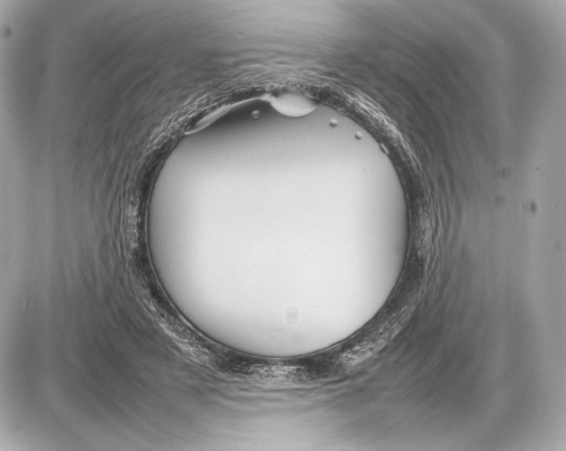 X0000085830497200704091701