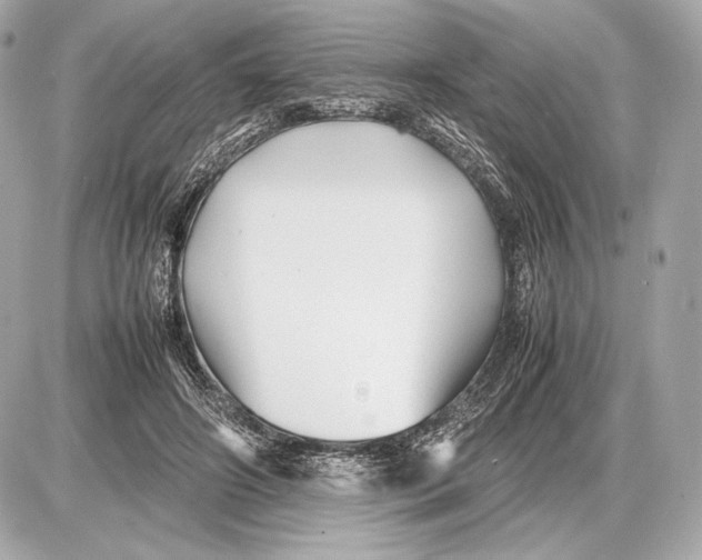 X0000085830498200704091701