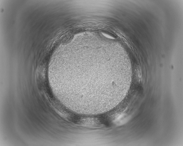 X0000085830499200704091701