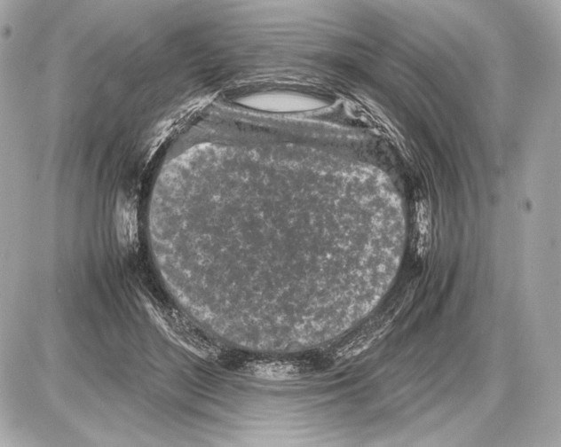 X0000085830500200704091701