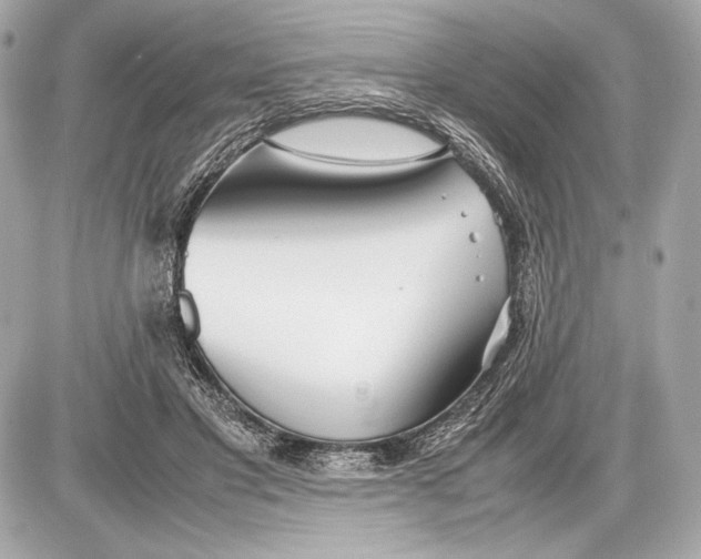 X0000085830501200704091701