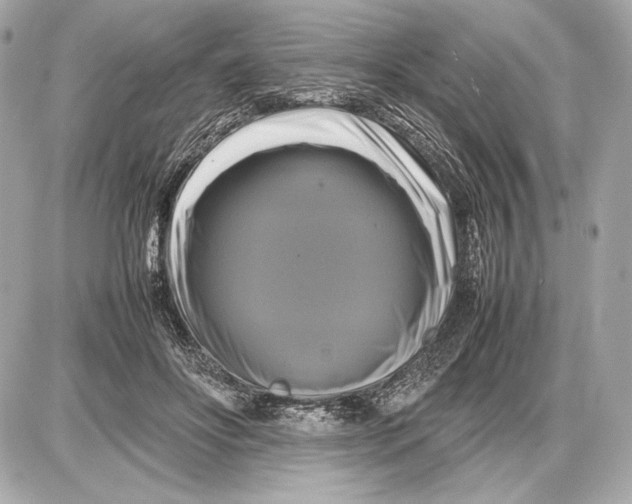 X0000085830502200704091701