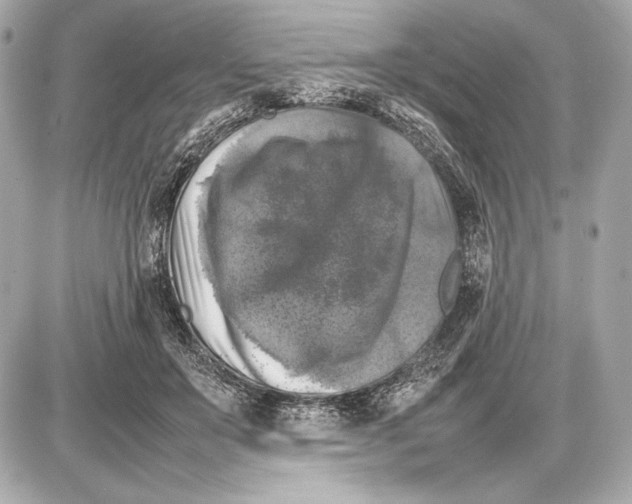 X0000085830503200704091701