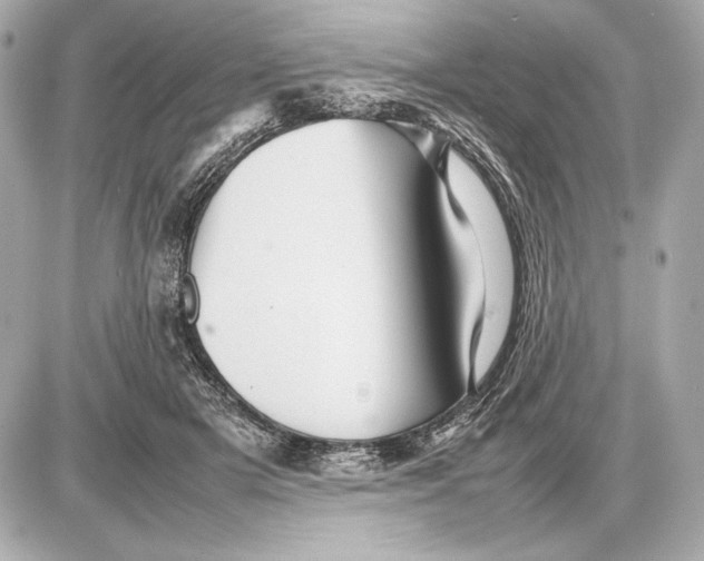 X0000085830505200704091701