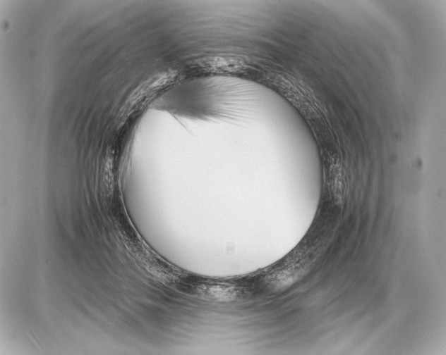 X0000085830506200704091701