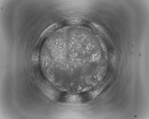 X0000085830507200704091701