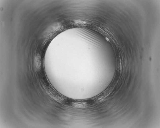 X0000085830508200704091701