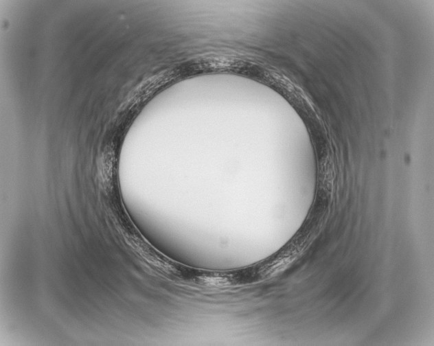 X0000085830509200704091701