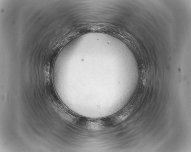 X0000085830510200704091701