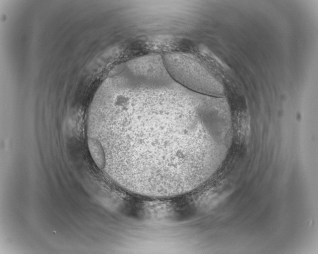 X0000085830511200704091701