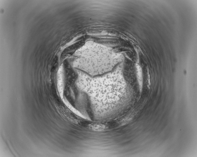 X0000085830512200704091701