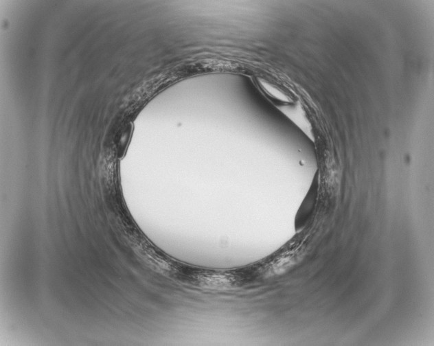 X0000085830513200704091701