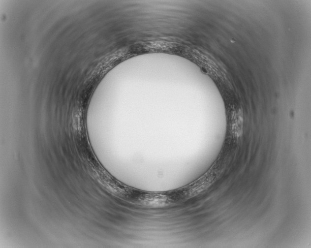 X0000085830514200704091701