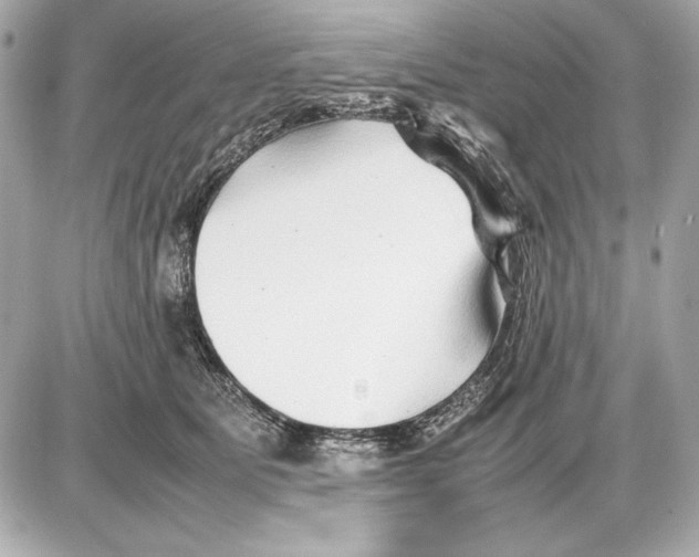 X0000085830515200704091701