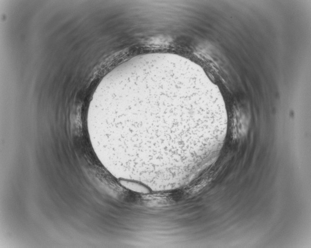 X0000085830516200704091701