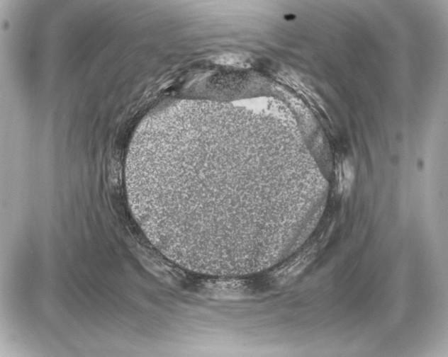 X0000085830517200704091701