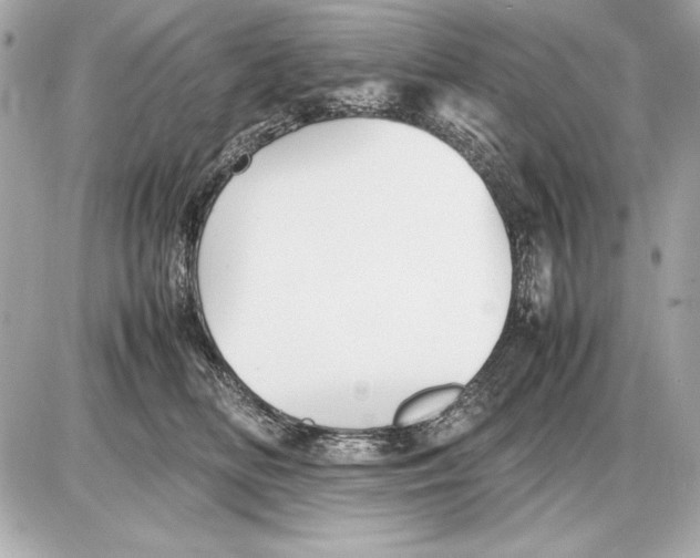 X0000085830518200704091701