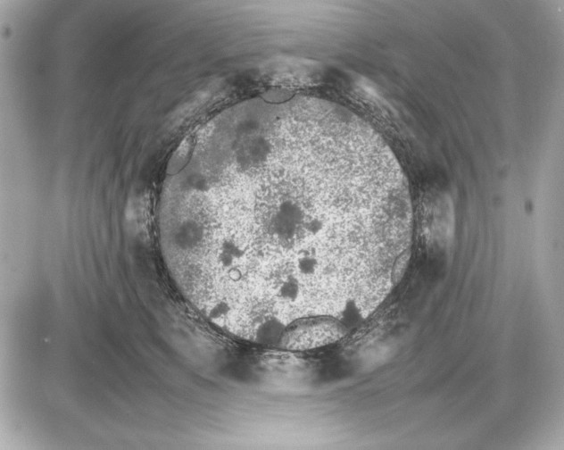 X0000085830519200704091701