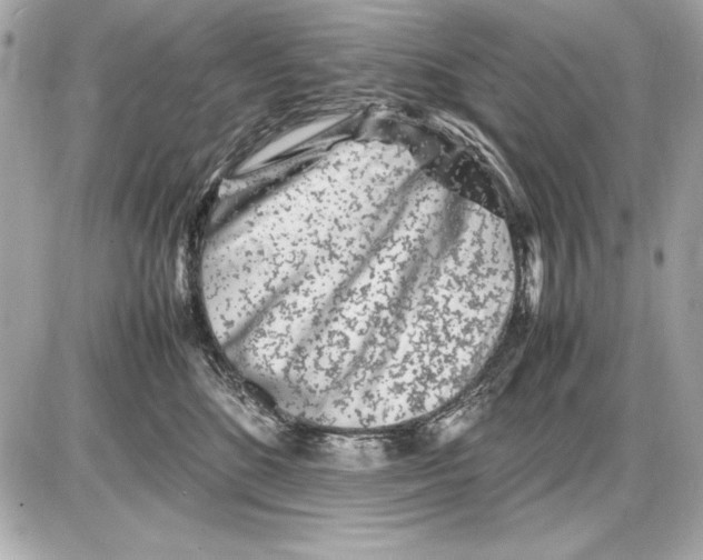 X0000085830520200704091701