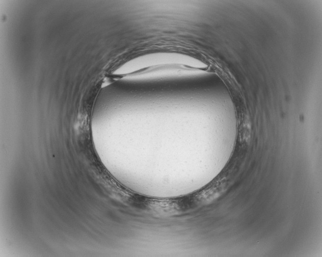 X0000085830521200704091701