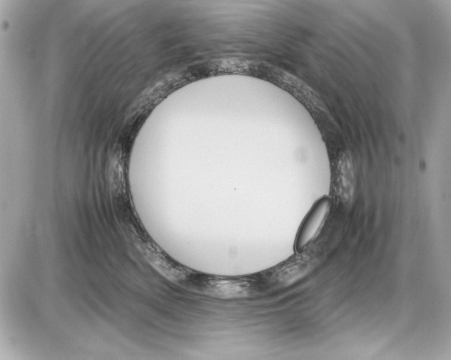 X0000085830522200704091701