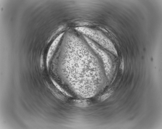 X0000085830524200704091701