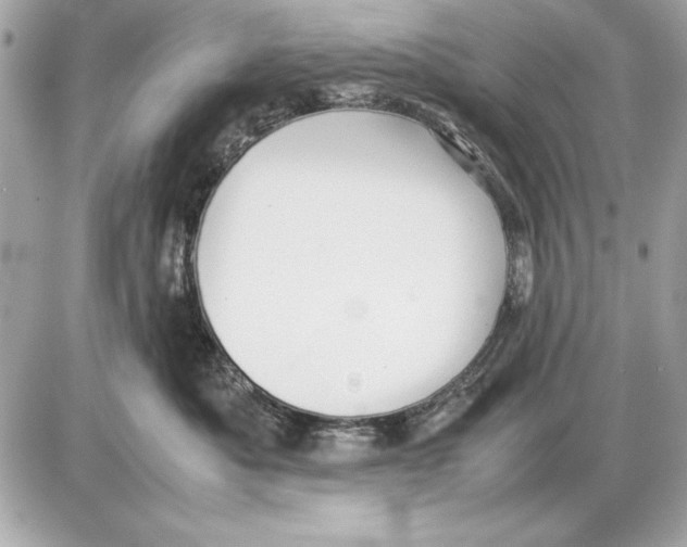 X0000085830525200704091701