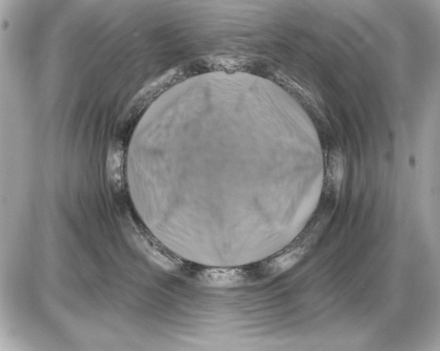 X0000085830526200704091701