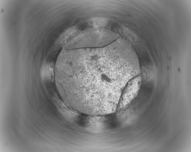 X0000085830527200704091701