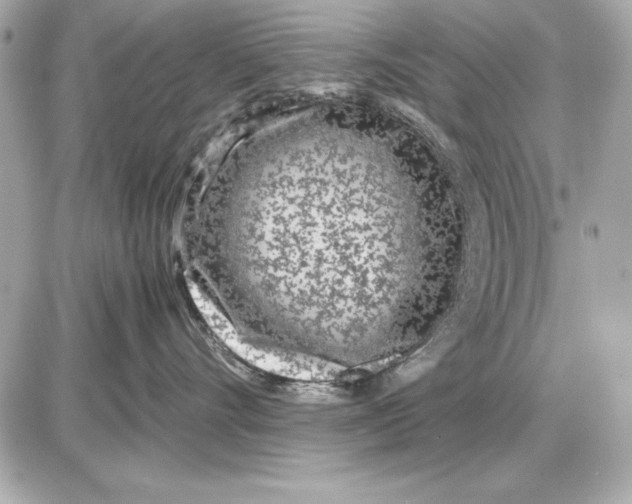 X0000085830528200704091701