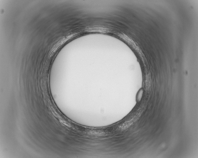 X0000085830529200704091700