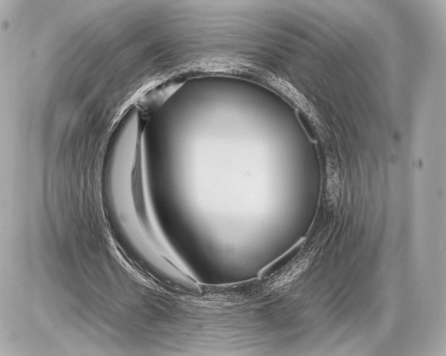 X0000085830530200704091700