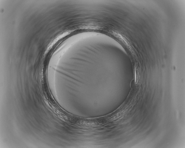 X0000085830531200704091700