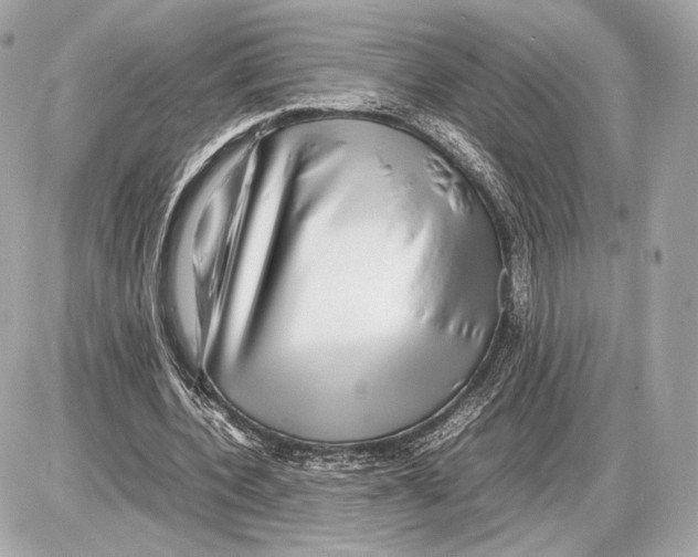 X0000085830532200704091700