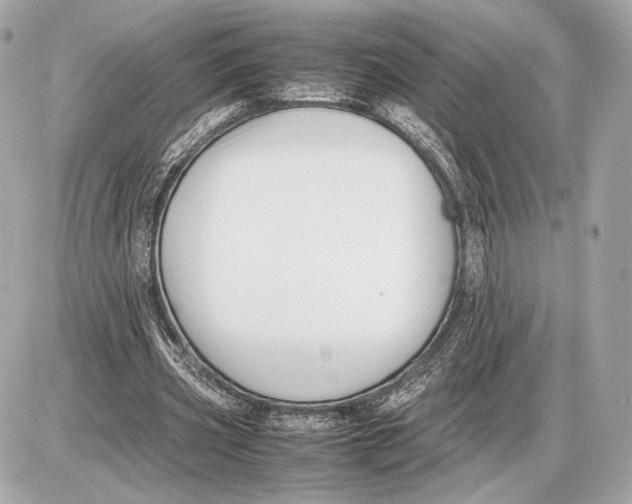 X0000085830533200704091700