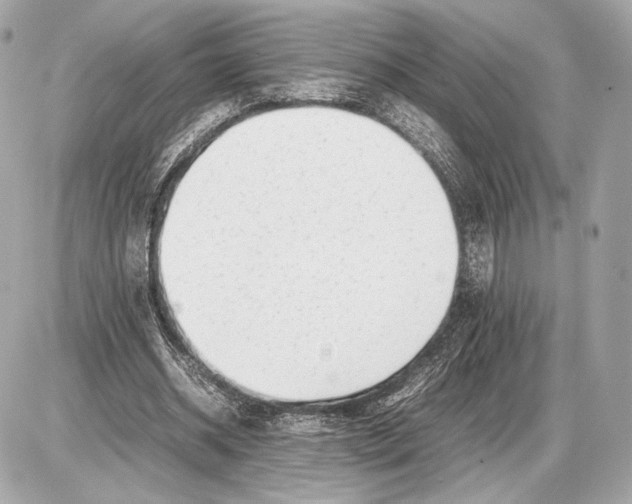 X0000085830534200704091700