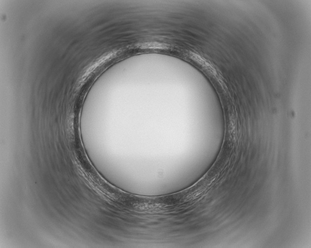 X0000085830535200704091700