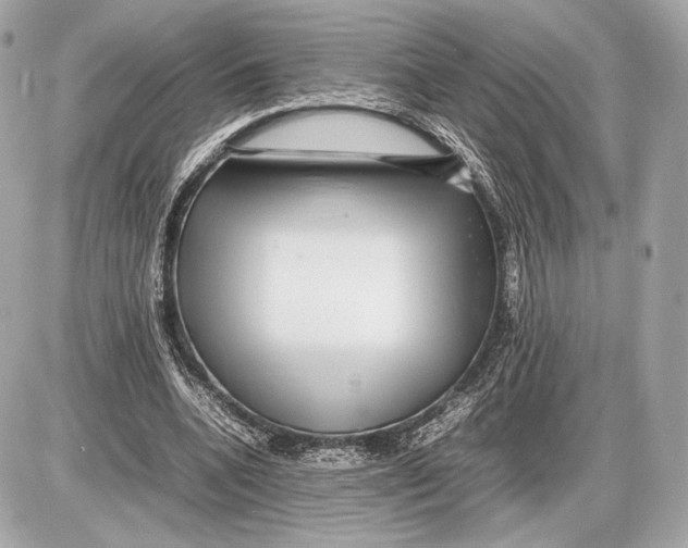 X0000085830536200704091700