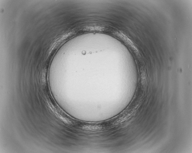 X0000085830537200704091700