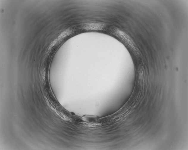 X0000085830539200704091700