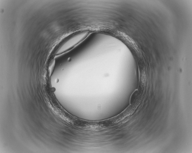 X0000085830540200704091700