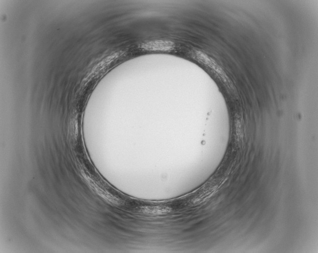 X0000085830541200704091700