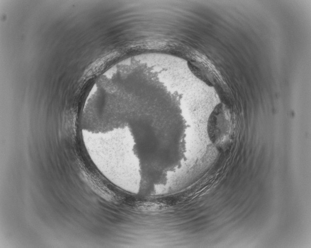 X0000085830542200704091700