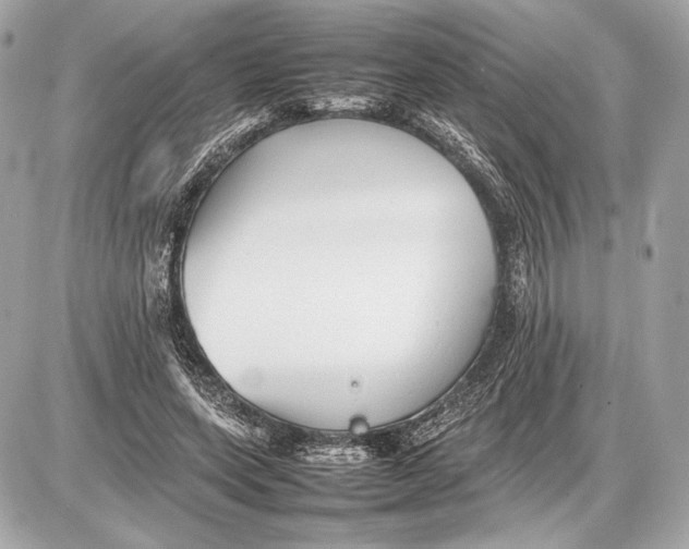 X0000085830543200704091700