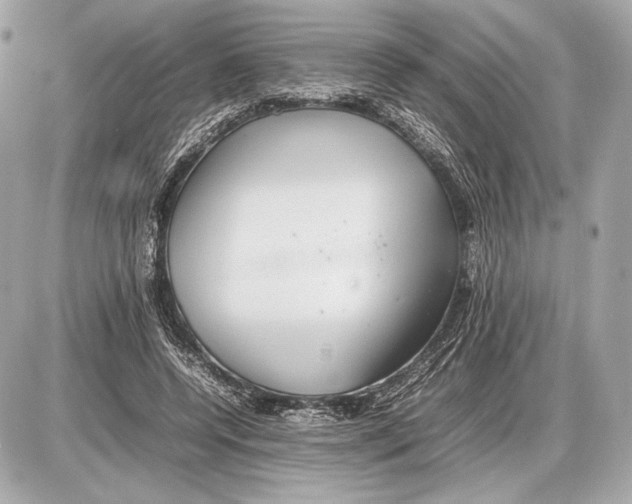 X0000085830544200704091700