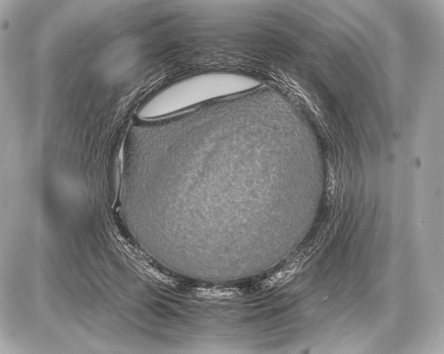 X0000085830545200704091700